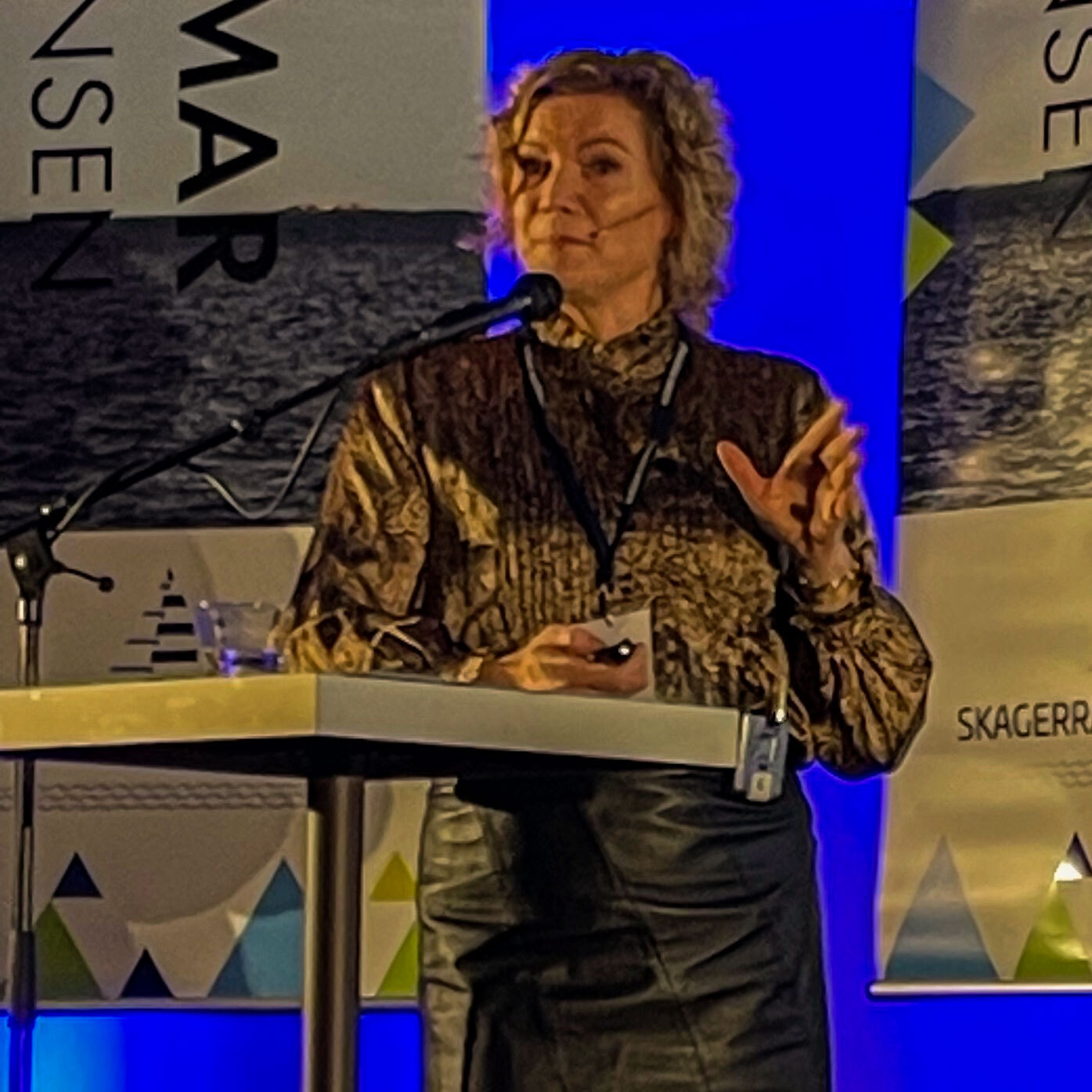 Kjersti Søyland Bye holder foredrag på Vestmar-konferansen