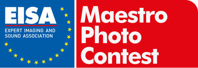 EISA-Maestro-2022-Logo-outline.jpg