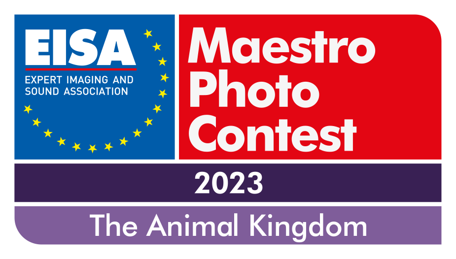 EISA-Maestro-2023-Logo-outline