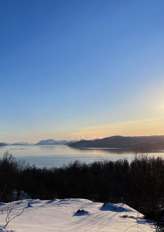 Utsikt fra Furøy