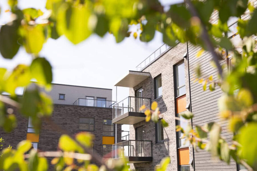 Boligprosjektet Prestødalleen i Tønsberg er Svanemerket. Foto: Werner Anderson.