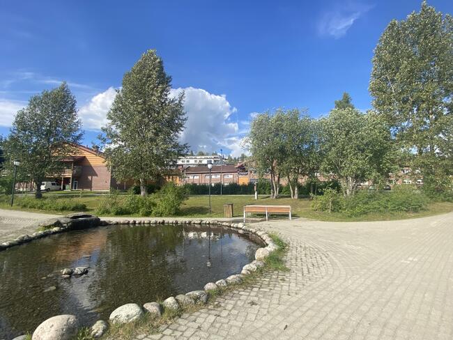 Barduheimen