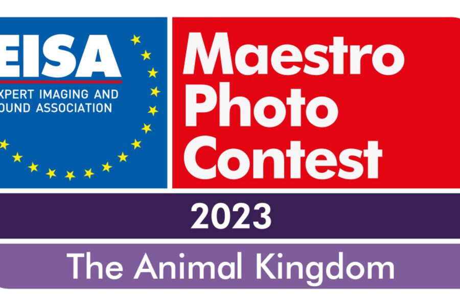 EISA-Maestro-2023-Logo-outline[2]