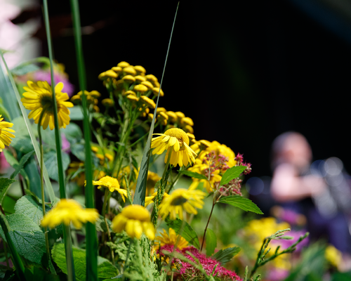 Blomsterpynt Blomsterpynt