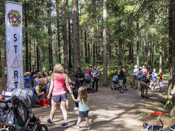 Barn og unge som er sammen i skogen