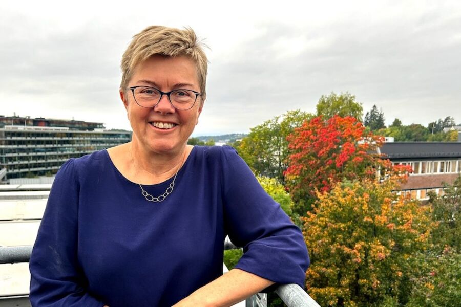 Ida Bryn Foto: Multiconsult