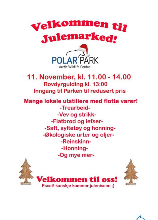 Polar park julemarked