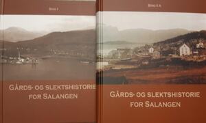 Forsidebilde bind 1 og 2B