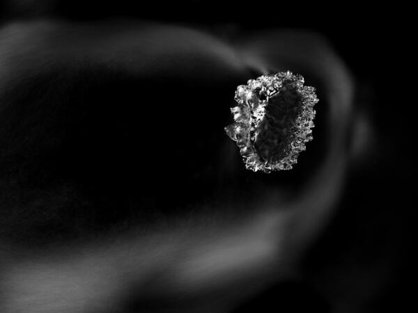 Foto: © Eldar Hauge