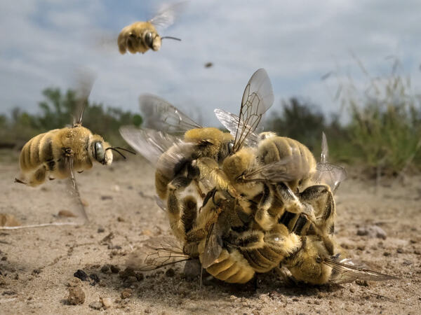 Foto: Karine Aigner.