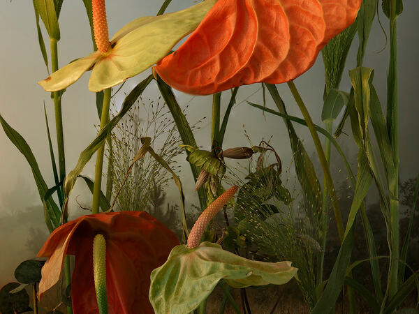© Tine Poppe, Norway, Finalist, Professional competition, Creative, Sony World Photography Awards 2024