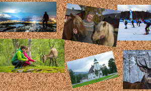 Bilde: Kortavle med bilder av opplevelser i Bardu