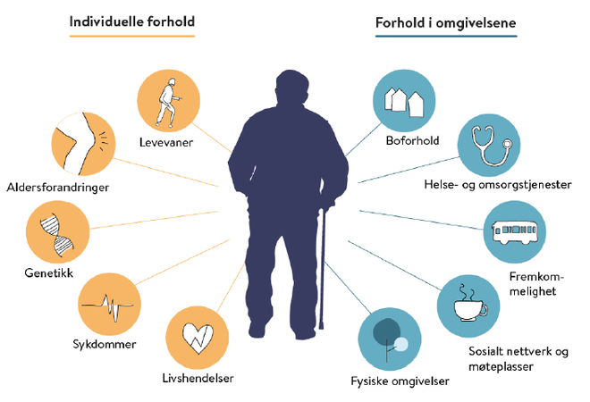 Tegning påsatt faktorer som viser hva som påvirker eldres helse