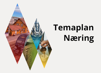 Temaplan næring