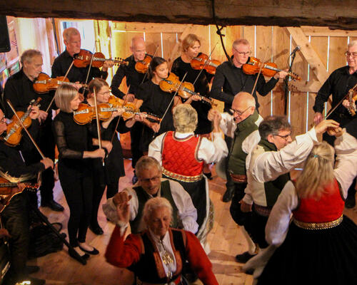 Foto: Bård Støfringsdal