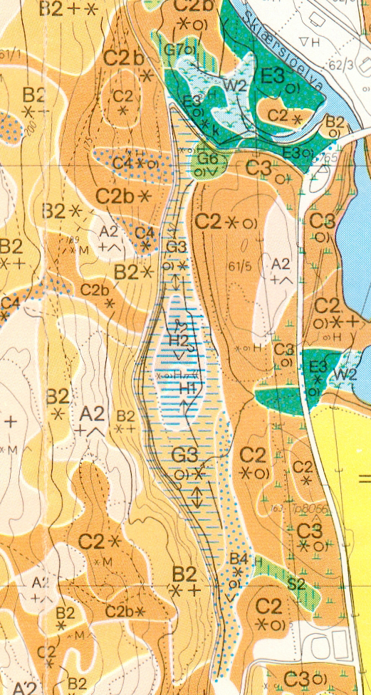 Vegetasjonskart Skjervenmyra 1984.jpg