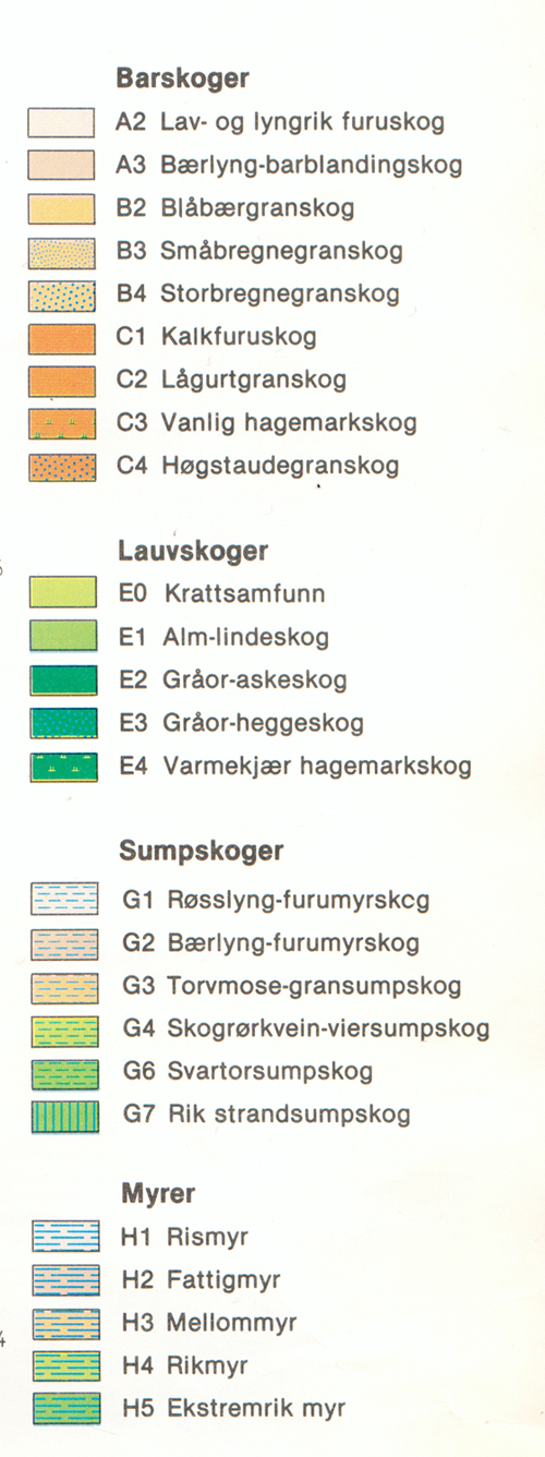 Illustrasjon veg.kart Skjervenmyra.jpg