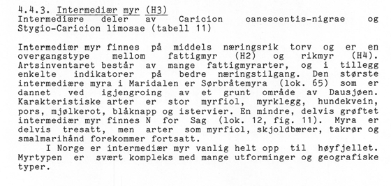 Skjervenmyra-Bronger-og-Rustan-2