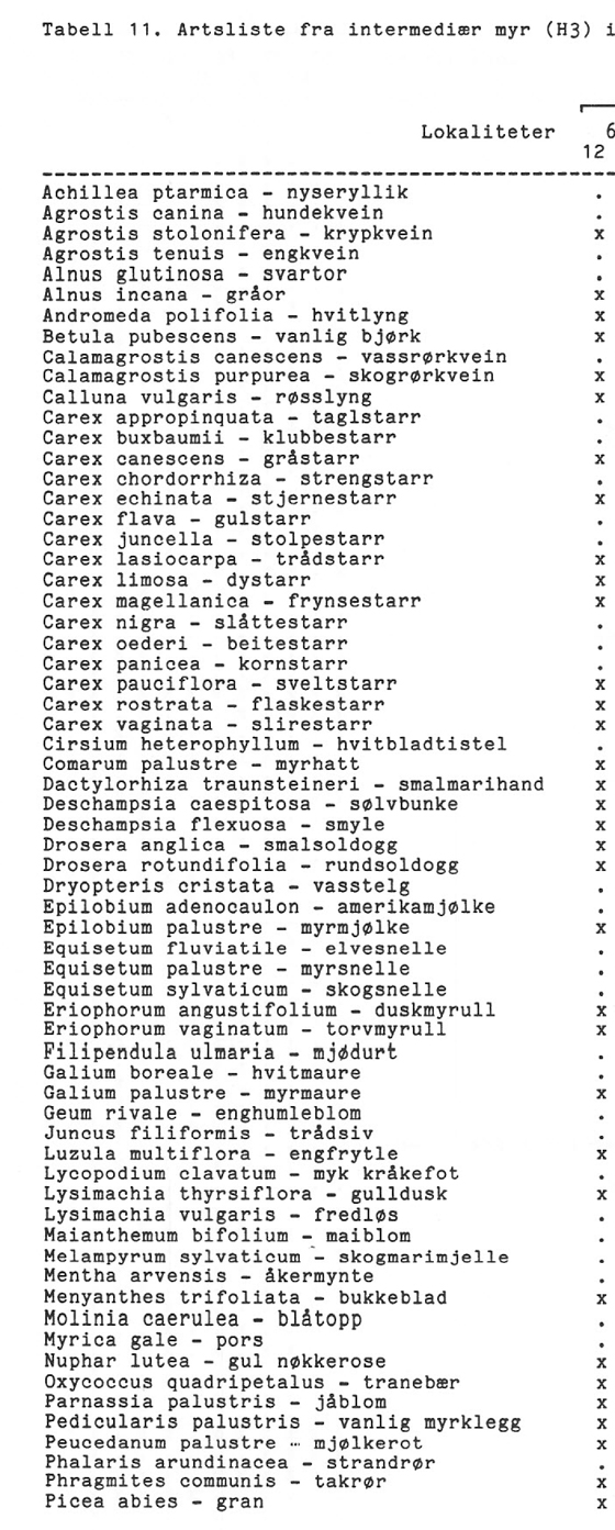 Skjervenmyra-Bronger-og-Rustan-4