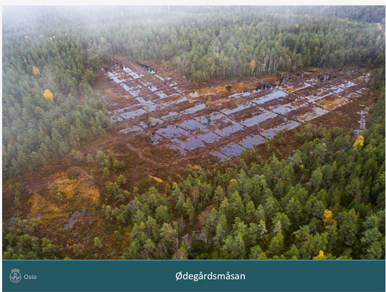 Ødegårdsmosan-Bymiljøetaten