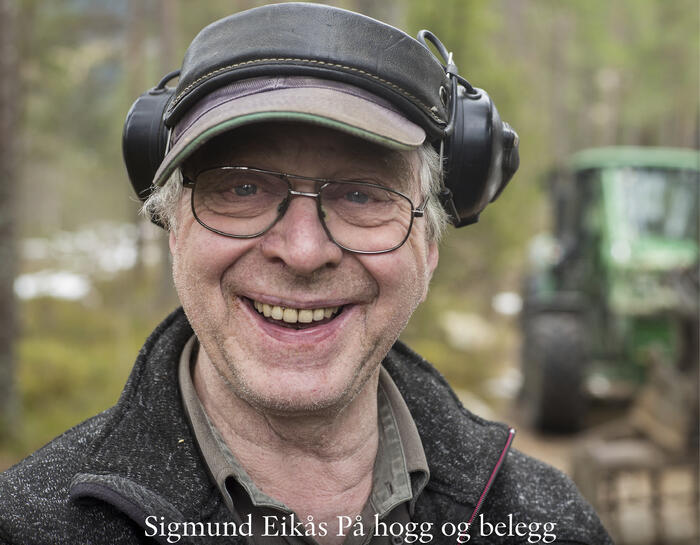 På hogg og belegg-2