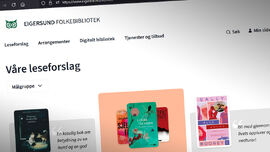 Bilde av bibliotekets nettside