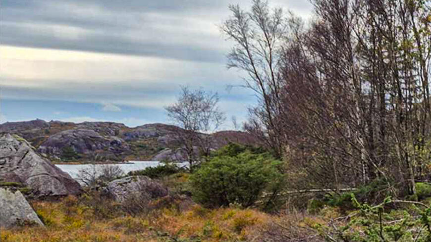 Et vann med skog på Hellvik