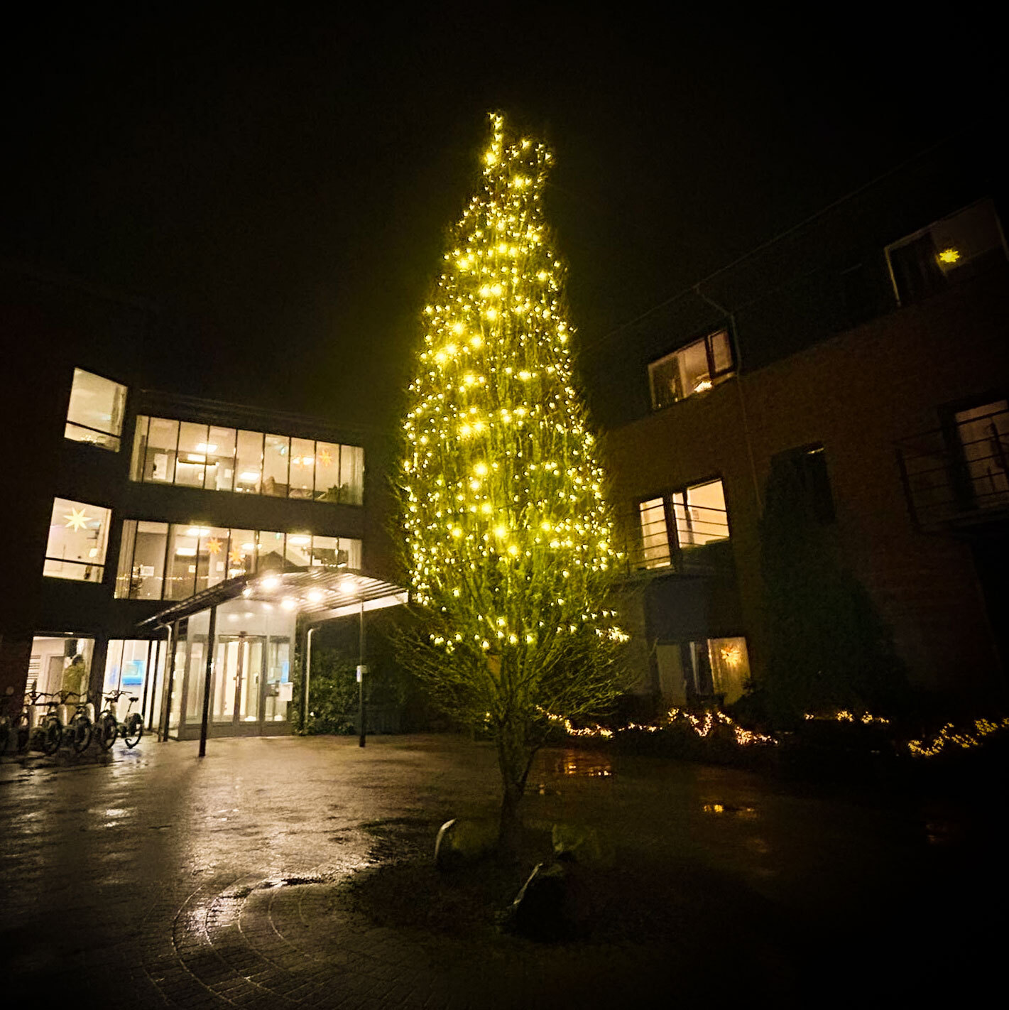 Juletreet som står på Lagård