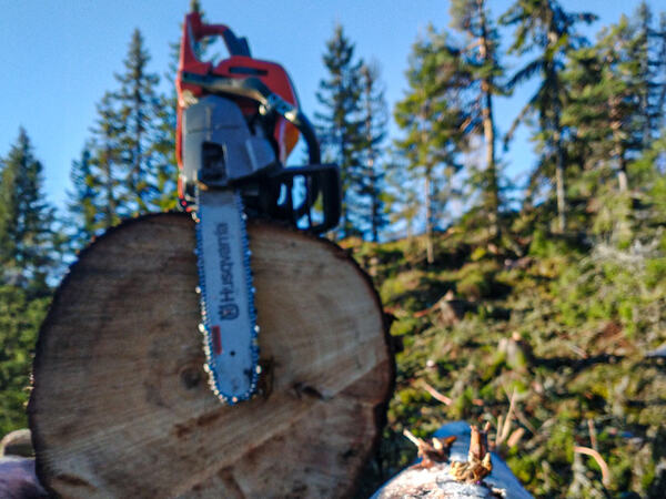 Motorsag med en skog i bakgrunnen med sol og fint vær