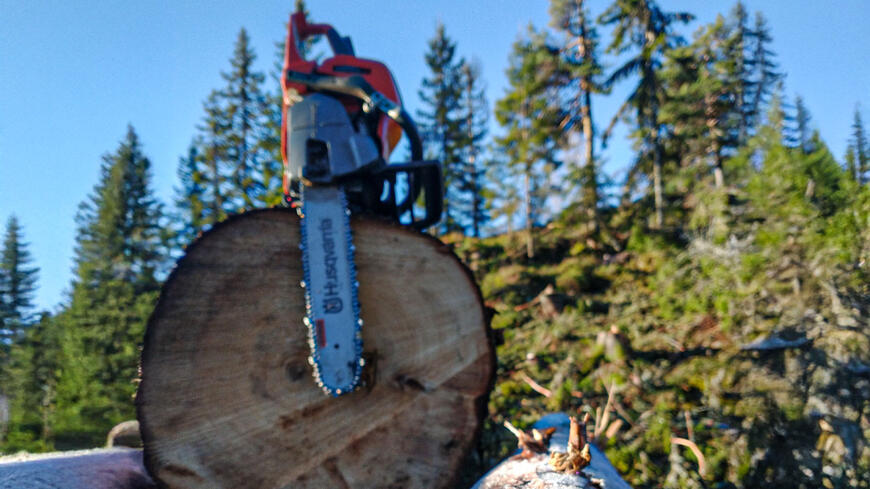 Motorsag med en skog i bakgrunnen med sol og fint vær