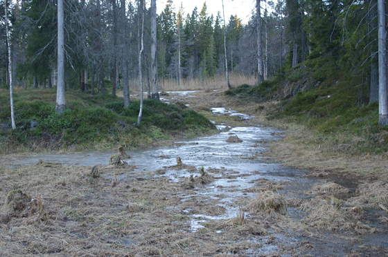 Mellomdråg-kilde-2013