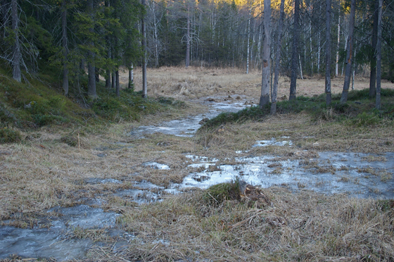 Stordråget-kildevann-2013