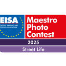 EISA-Maestro-2025-Logo-outline