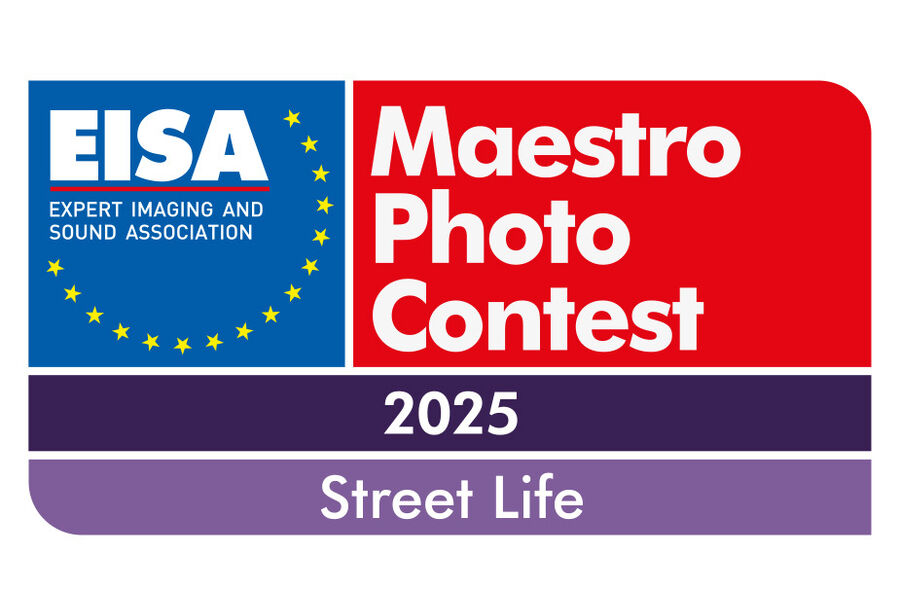 EISA-Maestro-2025-Logo-outline