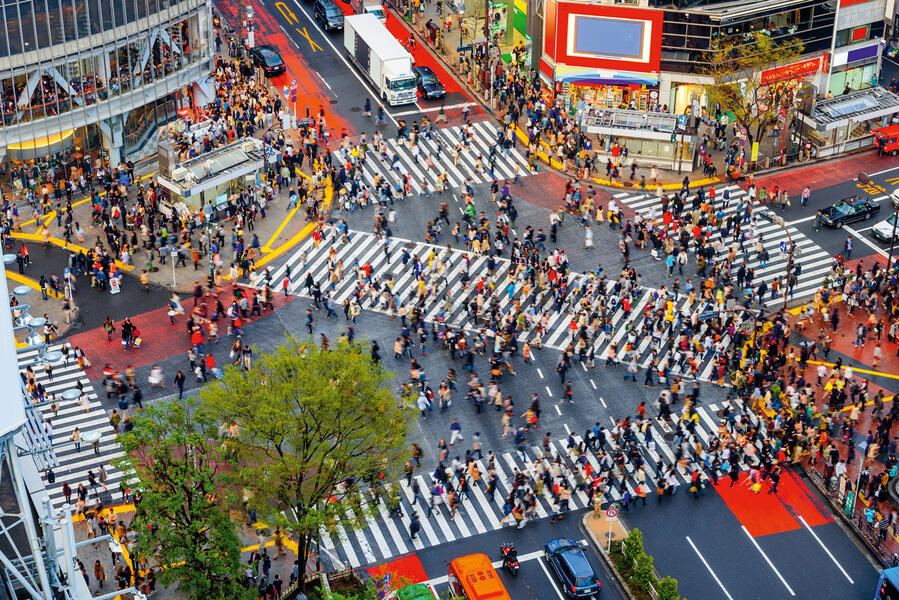 shutterstock_2237107919_crossing_RGB_sml