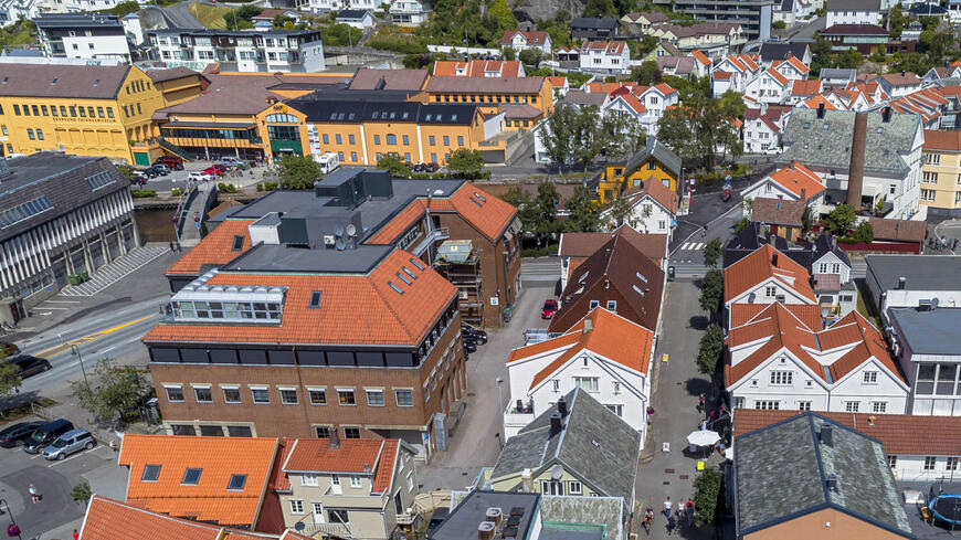 Trær i sentrum