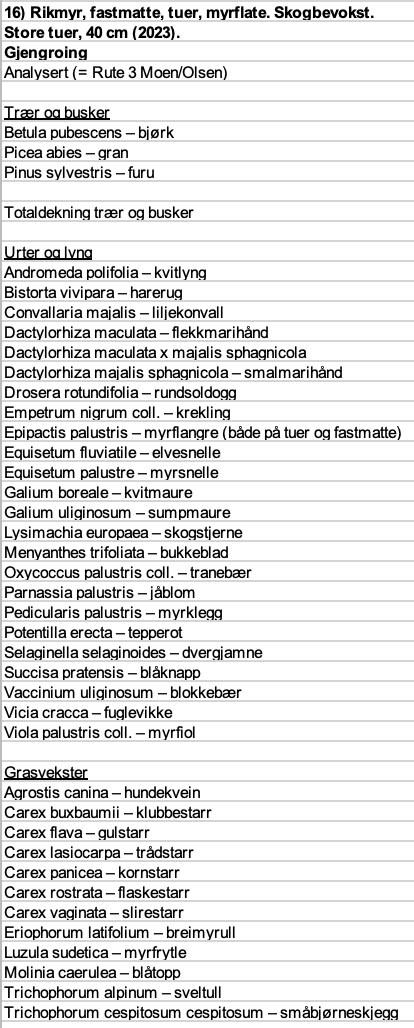 Skjermbilde 2025-01-30 kl. 20.23.50.png