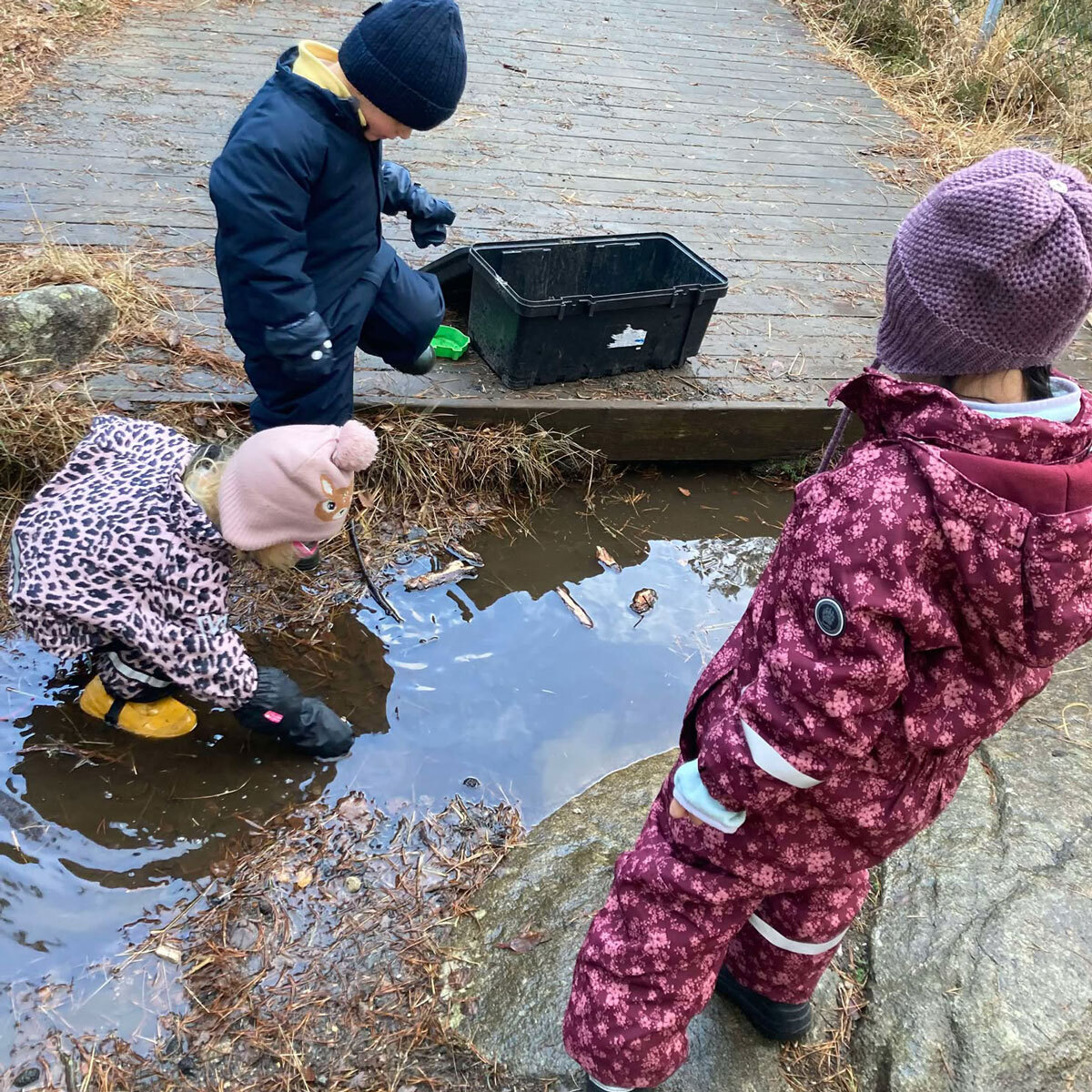 Sol og regn, lek er gøy uansett