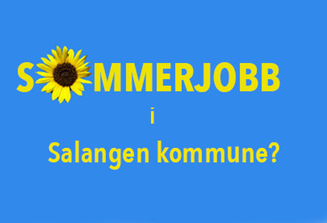 Illustrasjonsbilde SOMMERJOBB