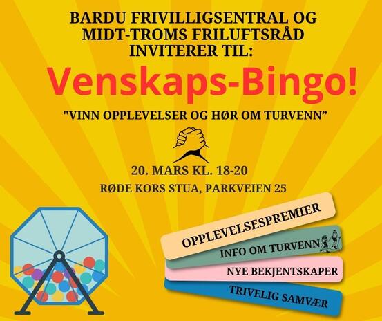 Vennskapsbingo