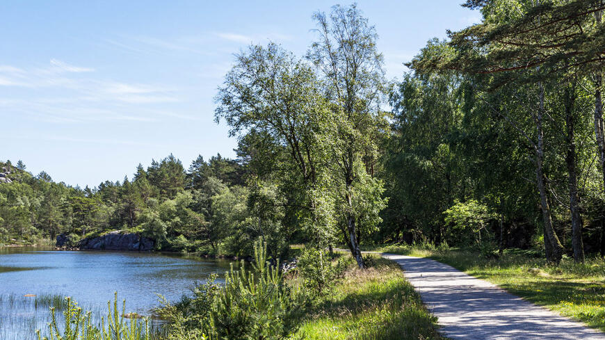 En tursti i skogen med et tjern ved siden av