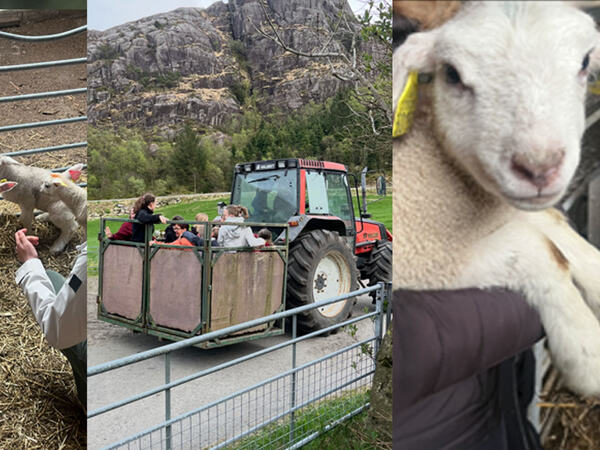 Bilder fra en bondegård i Egersund med smilende barn