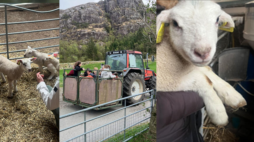 Bilder fra en bondegård i Egersund med smilende barn