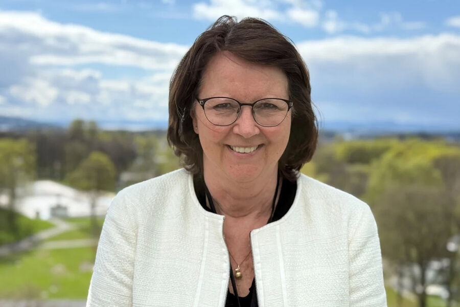 IA-nestoren Kari Mæland er ansatt som ny leder for IA-programmet i byggenæringen.