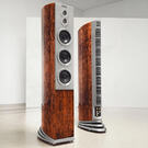 Audiovector 10 Arrete