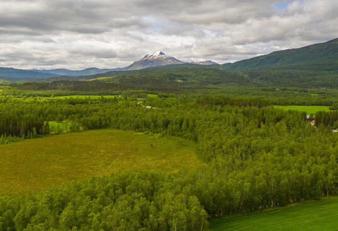 Oversiktsbilde av Bardu med skog og jorder