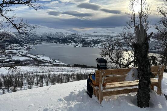 Hvilebenk i Lavangen, foto: Evy Hansen