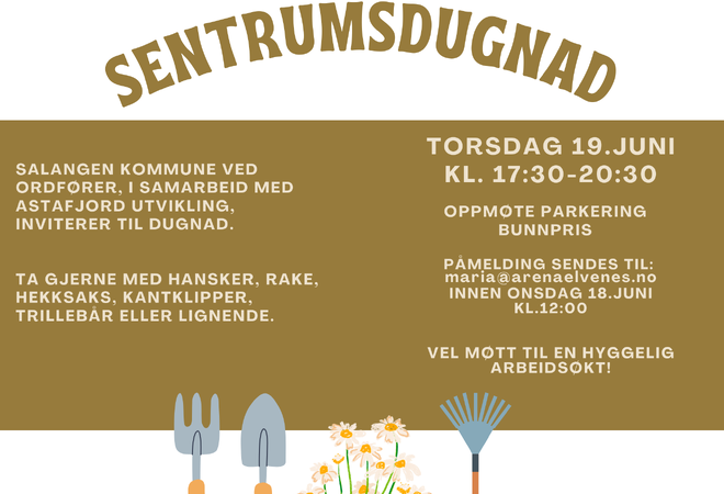 Velkommen til sentrumsdugnad, plakat