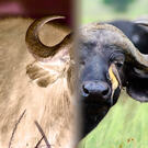 (Bildet er simulert).