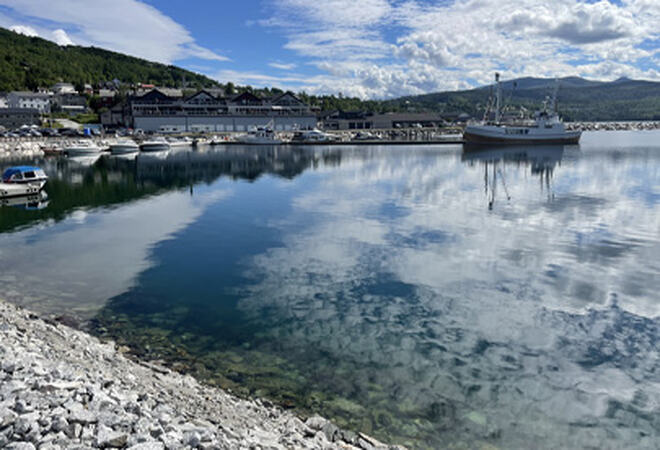 Sommerbilde Sjøvegan sentrum